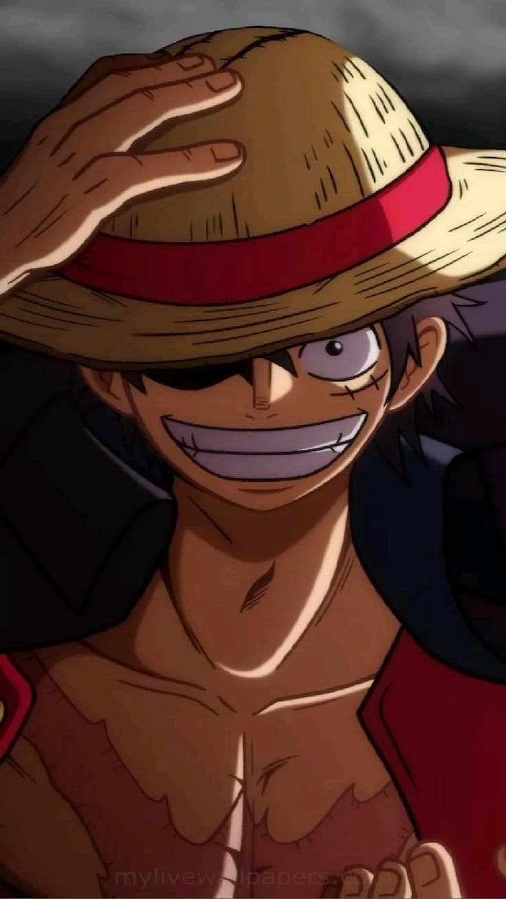 This contains an image of: luffy